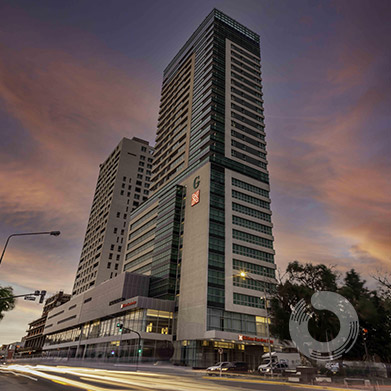 galeria image
