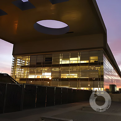 galeria image